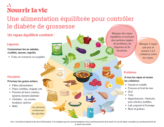 Alimentation équilibrée DBG