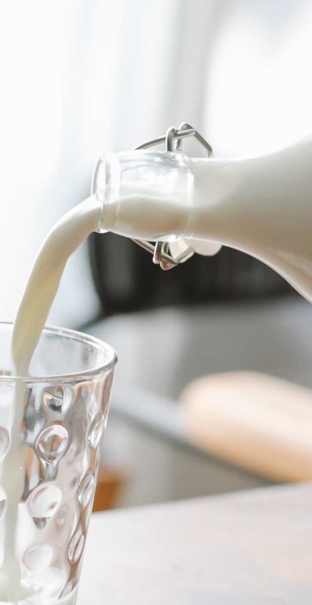 Quel est l’effet du lait sur la santé ?