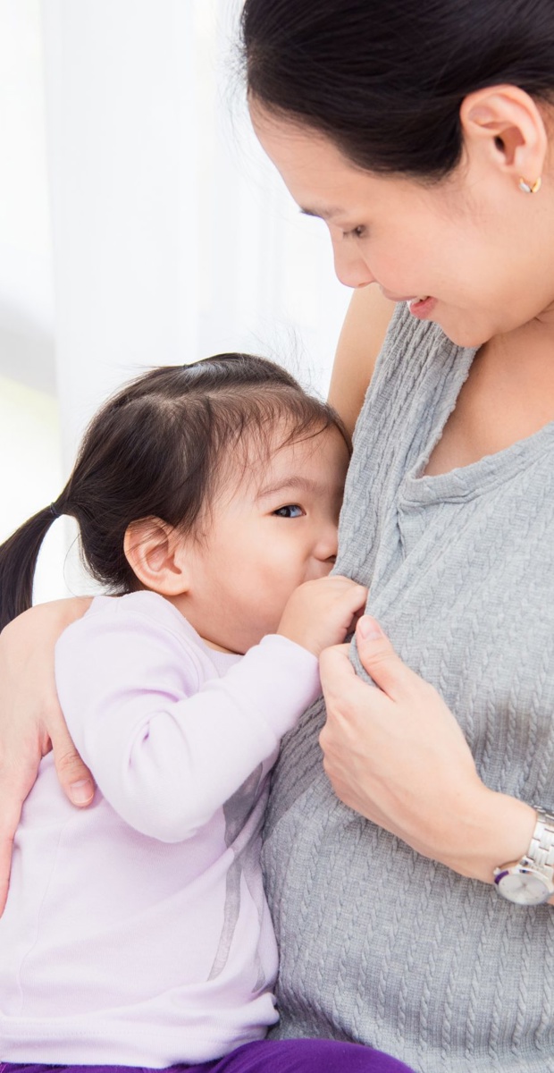 Can I breastfeed during pregnancy?