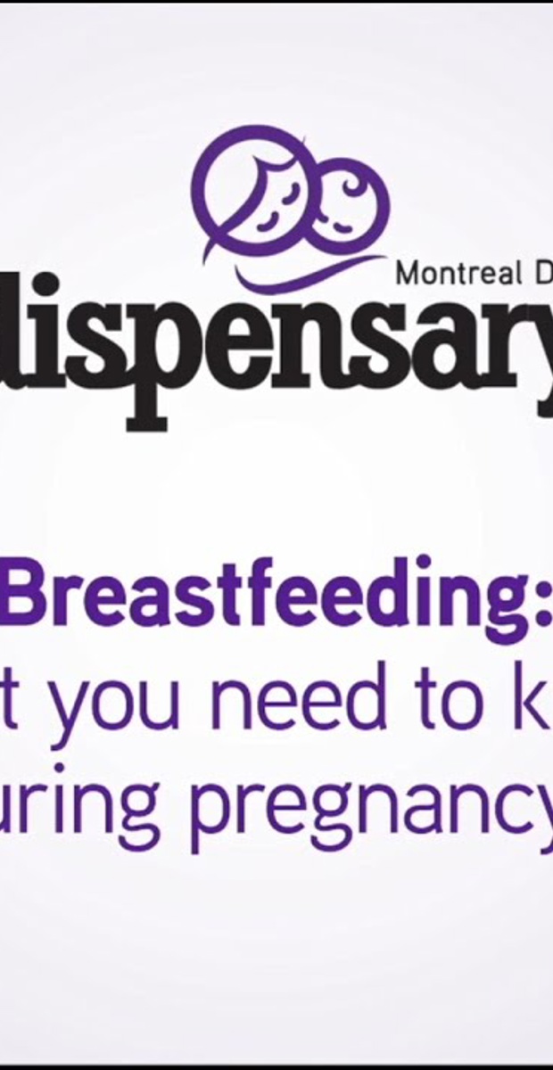 Breastfeeding : what you need to know during pregnancy