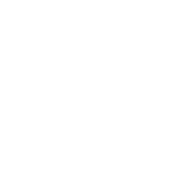 Fondation de la visite