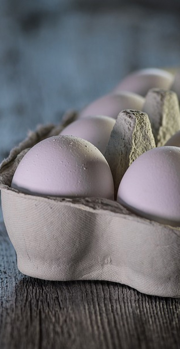 Pourquoi est-il recommandé aux femmes enceintes de manger des œufs ?